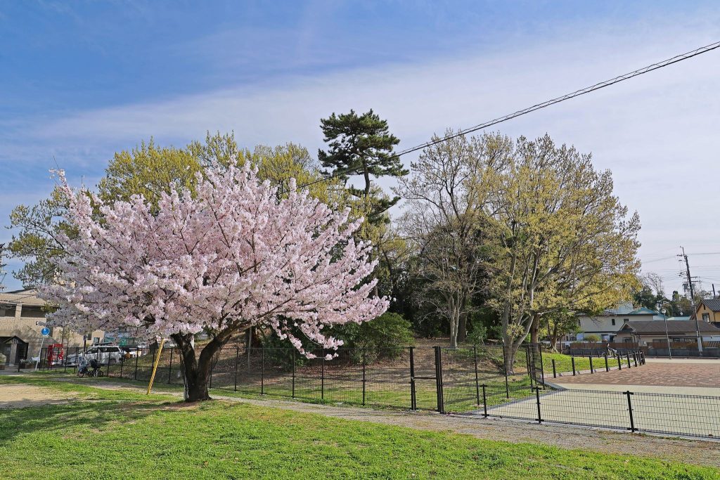 Osamezuka Kofun: A Fifth-Century Burial Mound in Sakai, Japan 4 Osamezuka Kofun