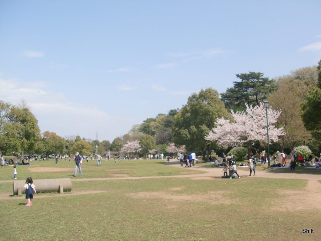 Iwatsuki Castle: A Japanese Flatland Castle and Domain Seat 1 Iwatsuki Castle