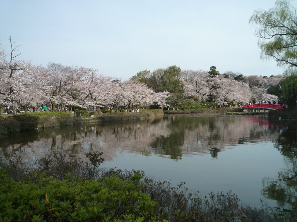 Iwatsuki Castle: A Japanese Flatland Castle and Domain Seat 2 Iwatsuki Castle