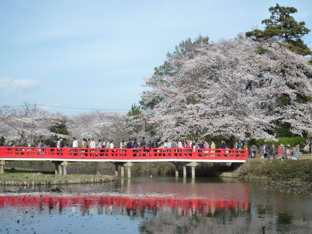 Iwatsuki Castle: A Japanese Flatland Castle and Domain Seat 3 Iwatsuki Castle