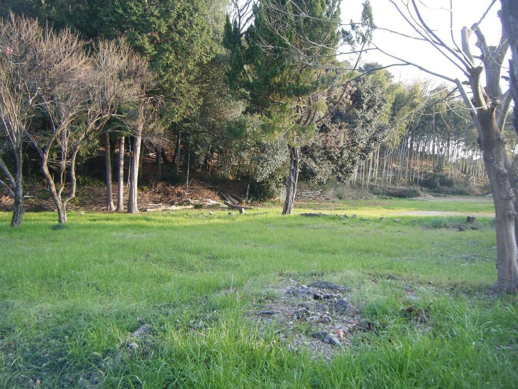 Kutsukawa Kurumazuka Kofun: A Fifth-Century Burial Mound in Japan 1 Kutsukawa Kurumazuka Kofun