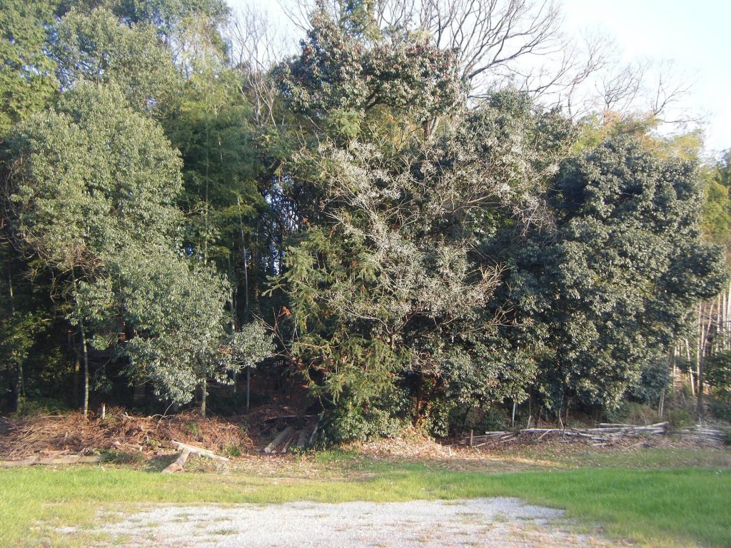 Kutsukawa Kurumazuka Kofun: A Fifth-Century Burial Mound in Japan 2 Kutsukawa Kurumazuka Kofun