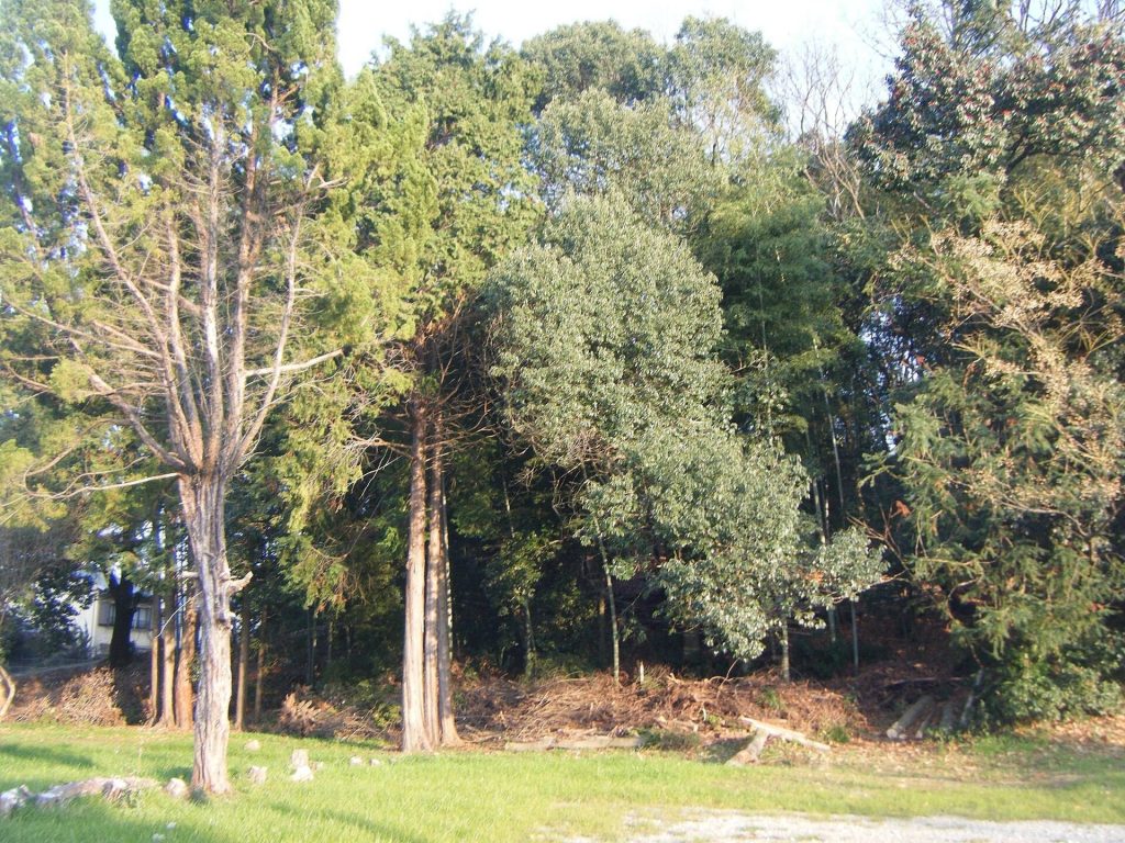 Kutsukawa Kurumazuka Kofun: A Fifth-Century Burial Mound in Japan 3 Kutsukawa Kurumazuka Kofun