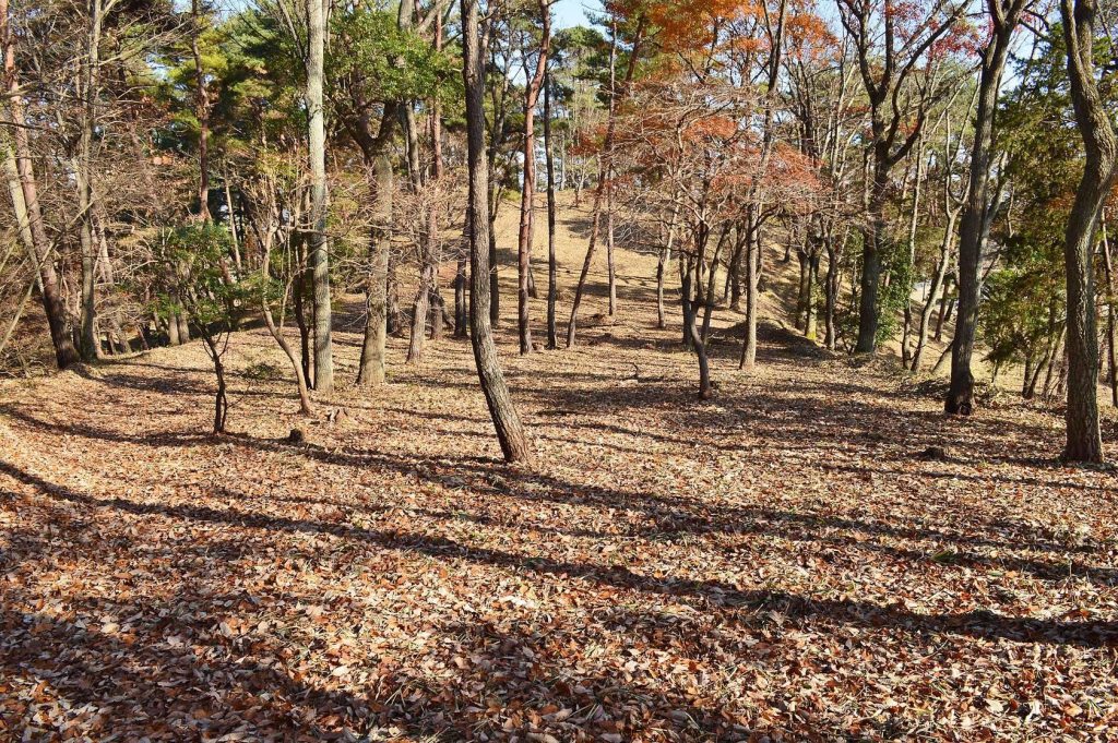 Tsukuriyama Kofun: A Kofun-Period Burial Mound in Japan 2 Tsukuriyama Kofun