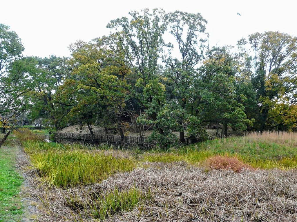 Magodayūyama Kofun: A Fifth-Century Subsidiary Burial Mound in Japan 2 Magodayūyama Kofun