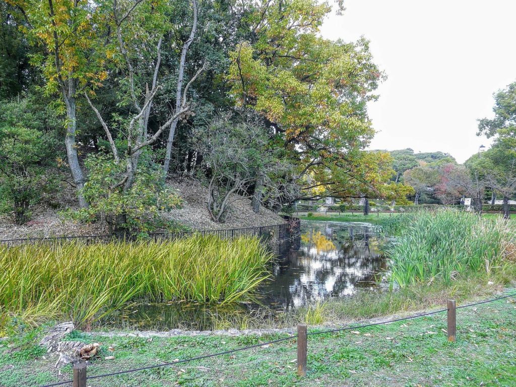 Magodayūyama Kofun: A Fifth-Century Subsidiary Burial Mound in Japan 3 Magodayūyama Kofun