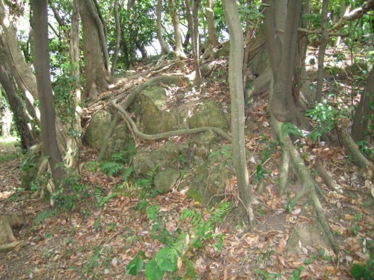 Tenjinyama Castle (Inaba): Administrative Stronghold of the Inaba Yamana Clan
