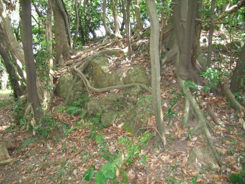 Tenjinyama Castle (Inaba): Administrative Stronghold of the Inaba Yamana Clan 1 Tenjinyama Castle (Inaba)