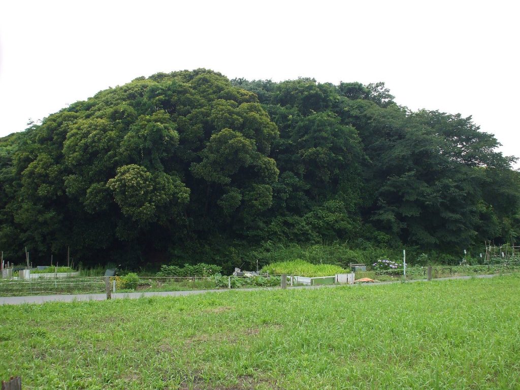 Sanjōzuka Kofun: A Late Kofun-Period Burial Mound in Japan 1 Sanjōzuka Kofun