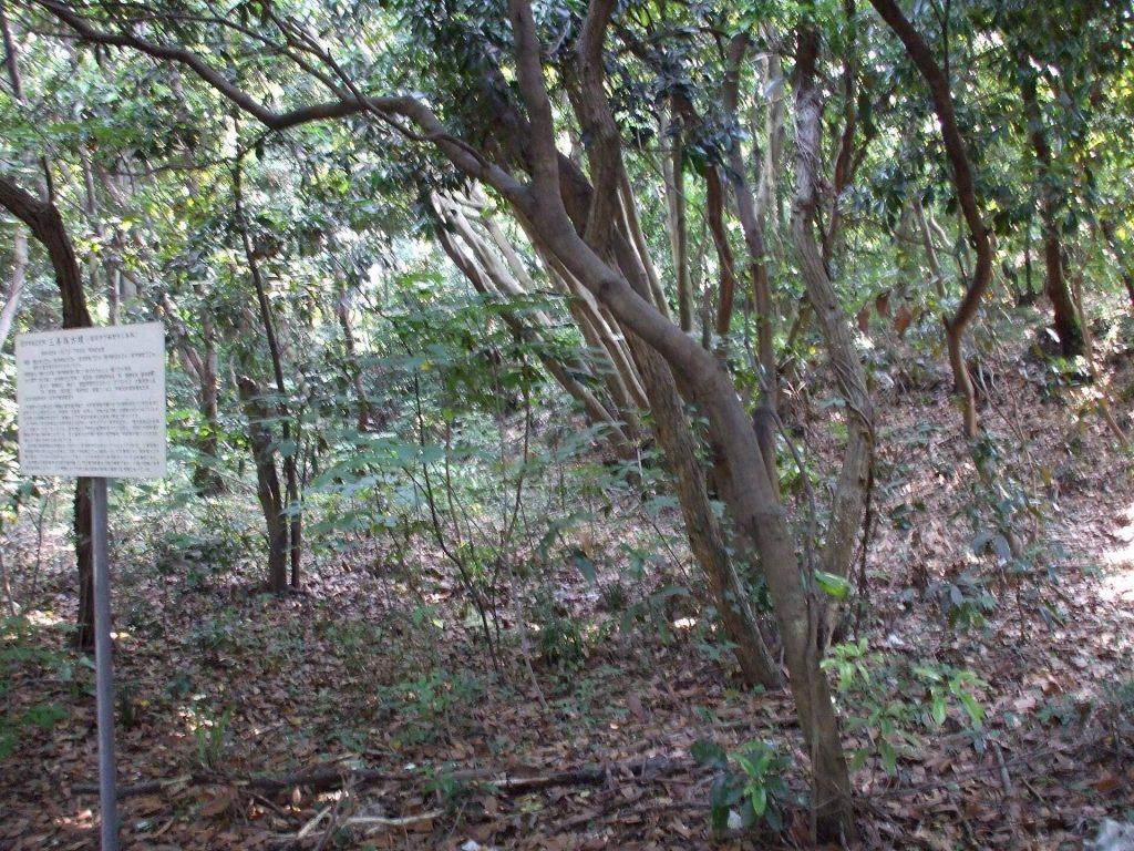 Sanjōzuka Kofun: A Late Kofun-Period Burial Mound in Japan 2 Sanjōzuka Kofun