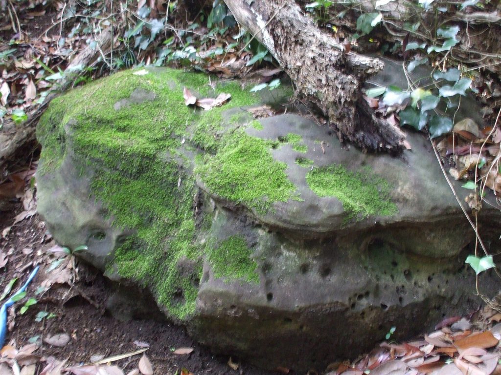 Sanjōzuka Kofun: A Late Kofun-Period Burial Mound in Japan 4 Sanjōzuka Kofun