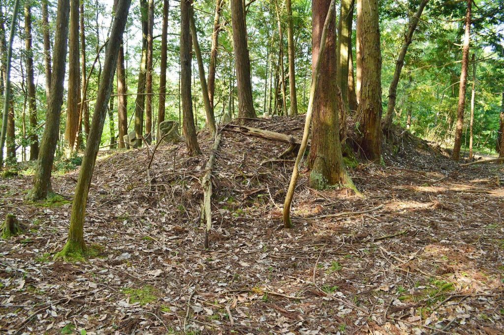 Shirageyama Kofun: An Early Keyhole-Shaped Burial Mound in Japan 1 Shirageyama Kofun