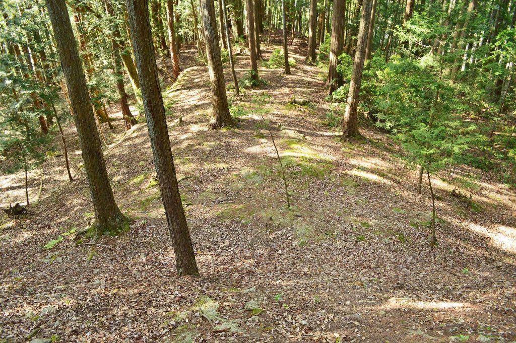 Shirageyama Kofun: An Early Keyhole-Shaped Burial Mound in Japan 2 Shirageyama Kofun