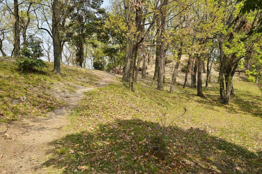 Ōtorizuka Kofun: A Fifth-Century Keyhole Burial Mound in Japan 2 Ōtorizuka Kofun