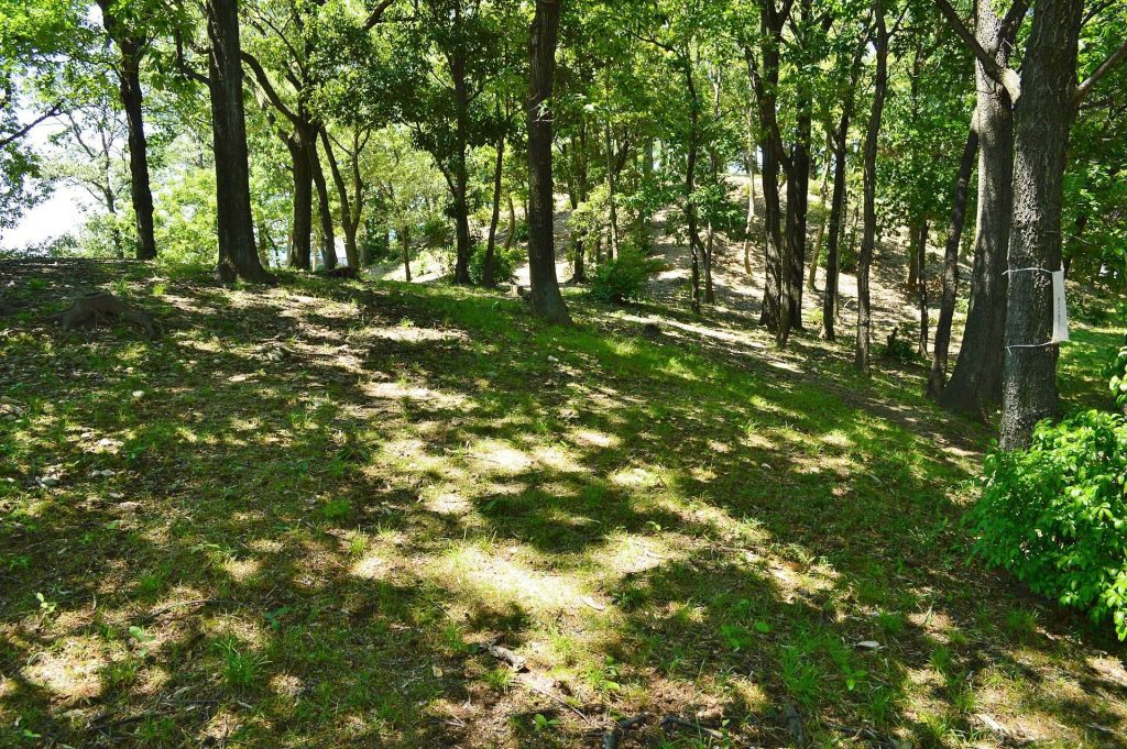 Ōtorizuka Kofun: A Fifth-Century Keyhole Burial Mound in Japan 3 Ōtorizuka Kofun