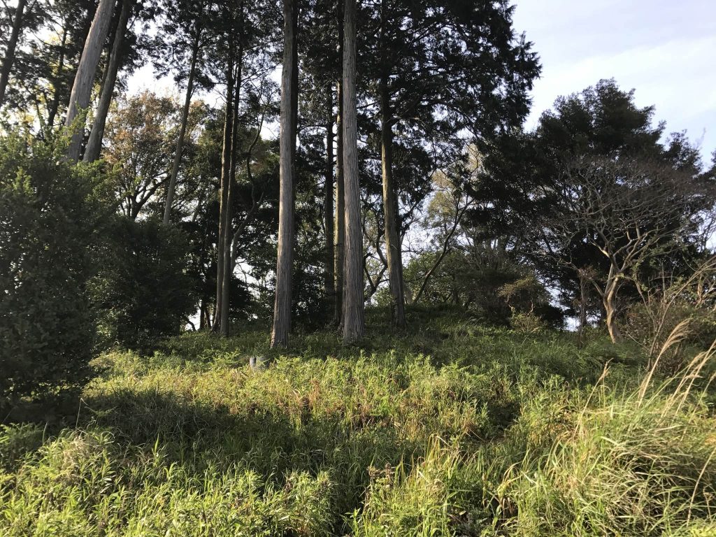 Ikisan Choshizuka Kofun: A Keyhole-Shaped Burial Mound in Japan 1 Ikisan Choshizuka Kofun