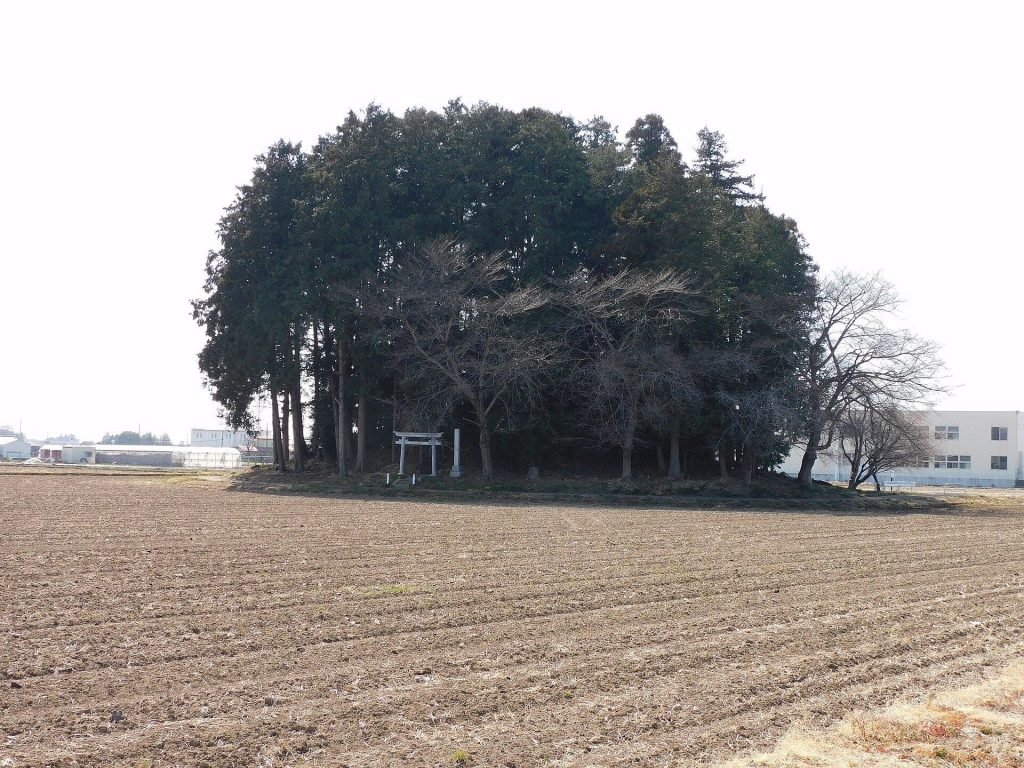 Shimoguri-Ōtsuka Kofun: A Seventh-Century Burial Mound in Japan 1 Shimoguri-Ōtsuka Kofun