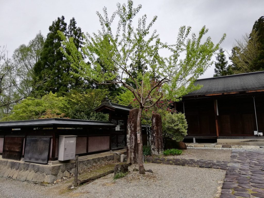 Shōren-ji Temple: A Jodo Shinshu Buddhist Temple in Takayama 4 Shōren-ji Temple