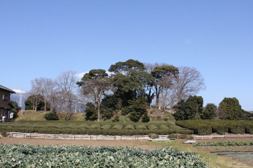 Nagatsuka Kofun: A Keyhole-Shaped Burial Mound in Numazu, Japan 1 Nagatsuka Kofun