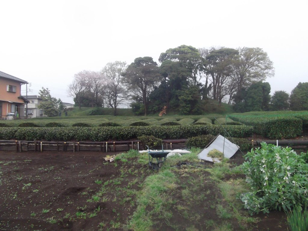 Nagatsuka Kofun: A Keyhole-Shaped Burial Mound in Numazu, Japan 2 Nagatsuka Kofun