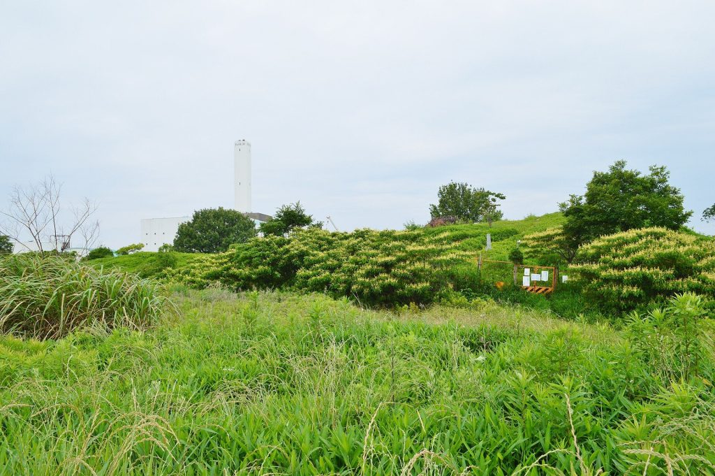 Izumi Koganezuka Kofun: A Keyhole-Shaped Burial Mound in Japan 1 Izumi Koganezuka Kofun