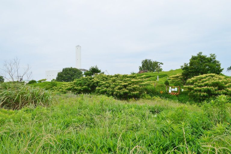 Izumi Koganezuka Kofun: A Keyhole-Shaped Burial Mound in Japan