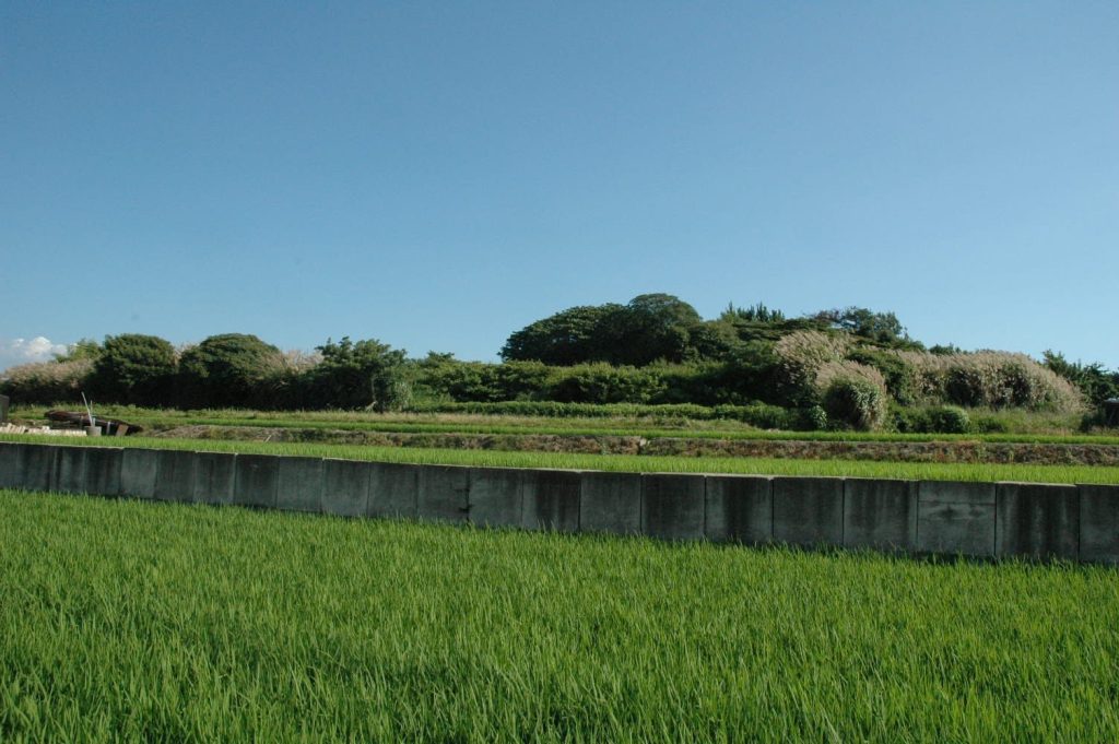Izumi Koganezuka Kofun: A Keyhole-Shaped Burial Mound in Japan 2 Izumi Koganezuka Kofun