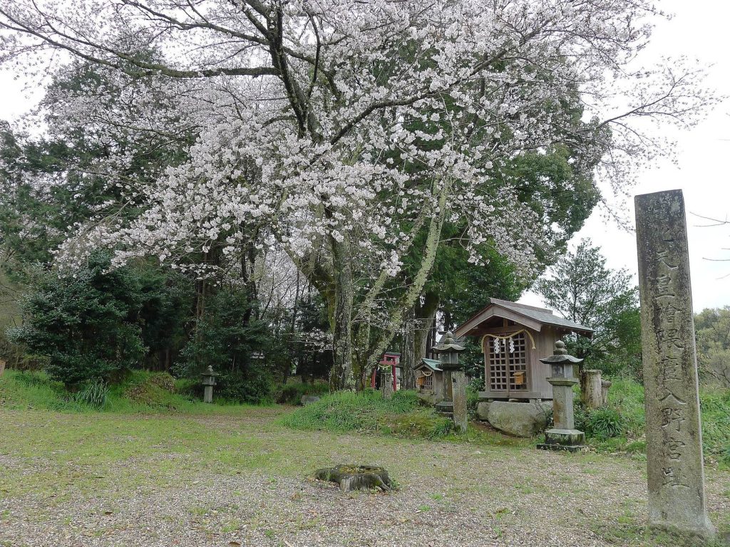 Hinokuma-dera: An Ancient Buddhist Temple Ruin in Japan 4 Hinokuma-dera