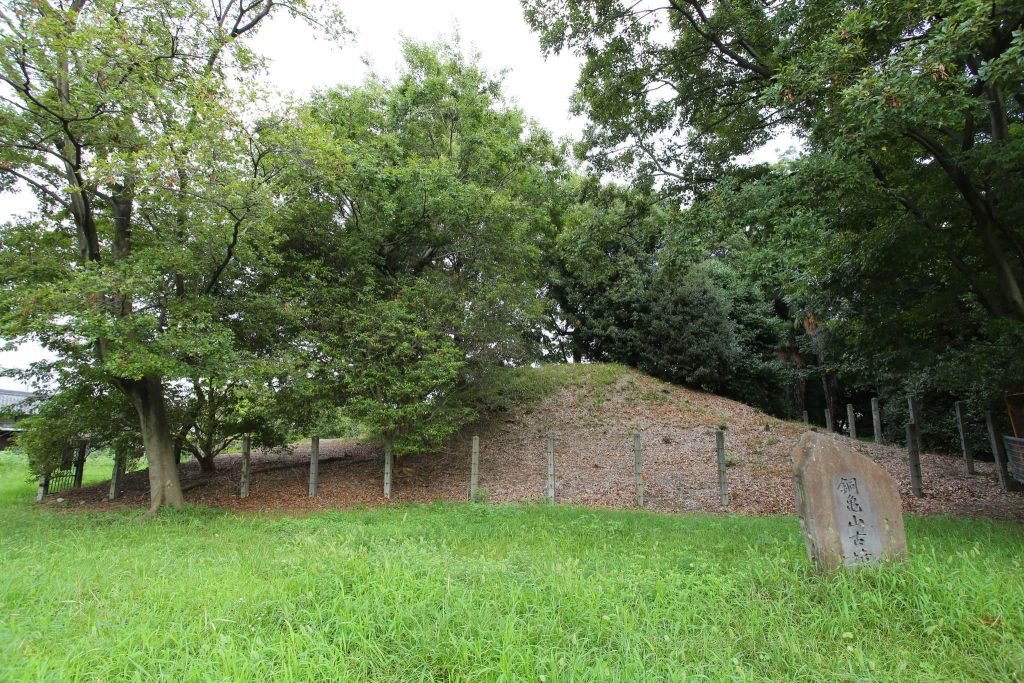 Dōgameyama Kofun: A Fifth-Century Satellite Mound in Sakai, Japan 1 Dōgameyama Kofun