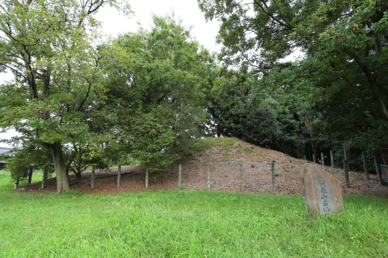 Dōgameyama Kofun: A Fifth-Century Satellite Mound in Sakai, Japan