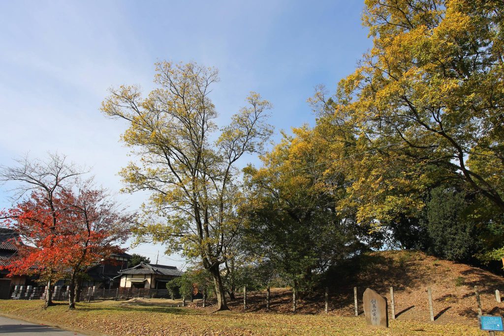 Dōgameyama Kofun: A Fifth-Century Satellite Mound in Sakai, Japan 2 Dōgameyama Kofun