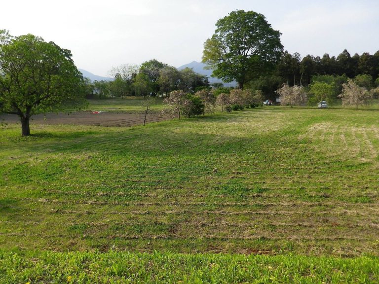 Shirai Castle: A Muromachi-Period Cliff-Edge Fortress in Japan