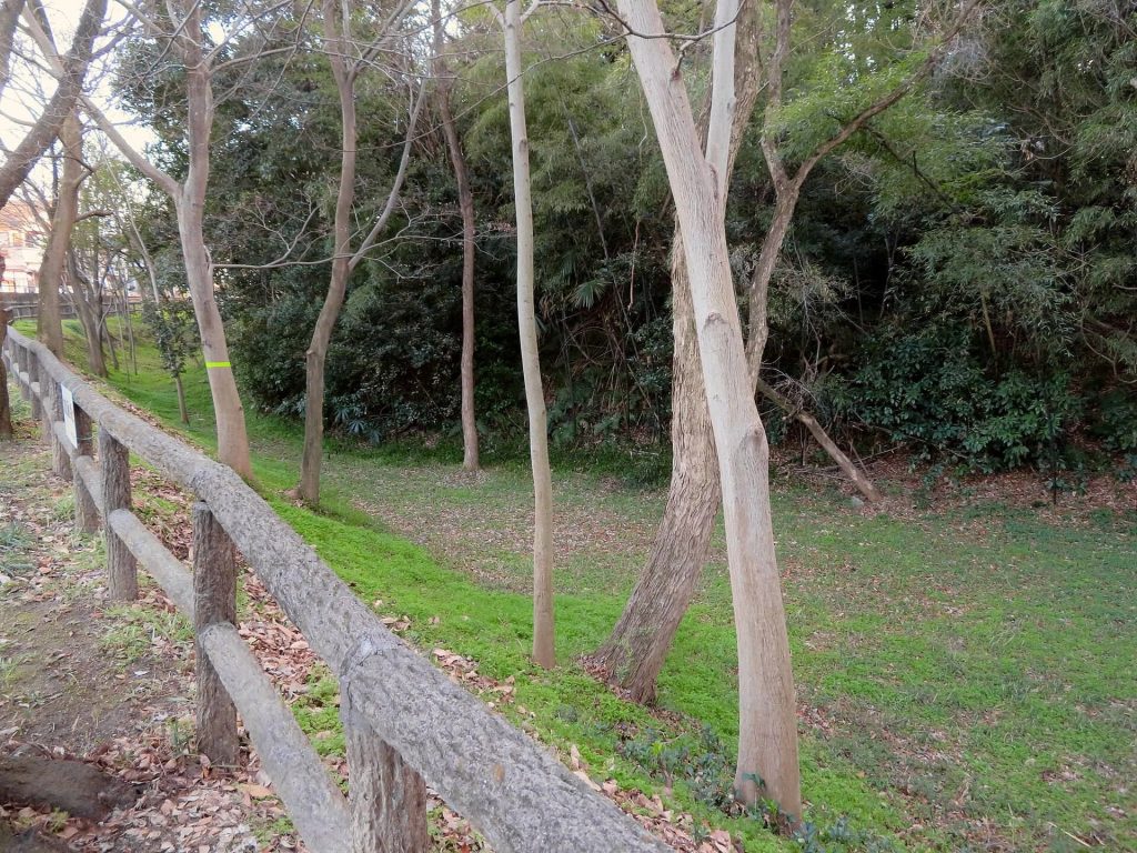 Ajiyoshi Futagoyama Kofun