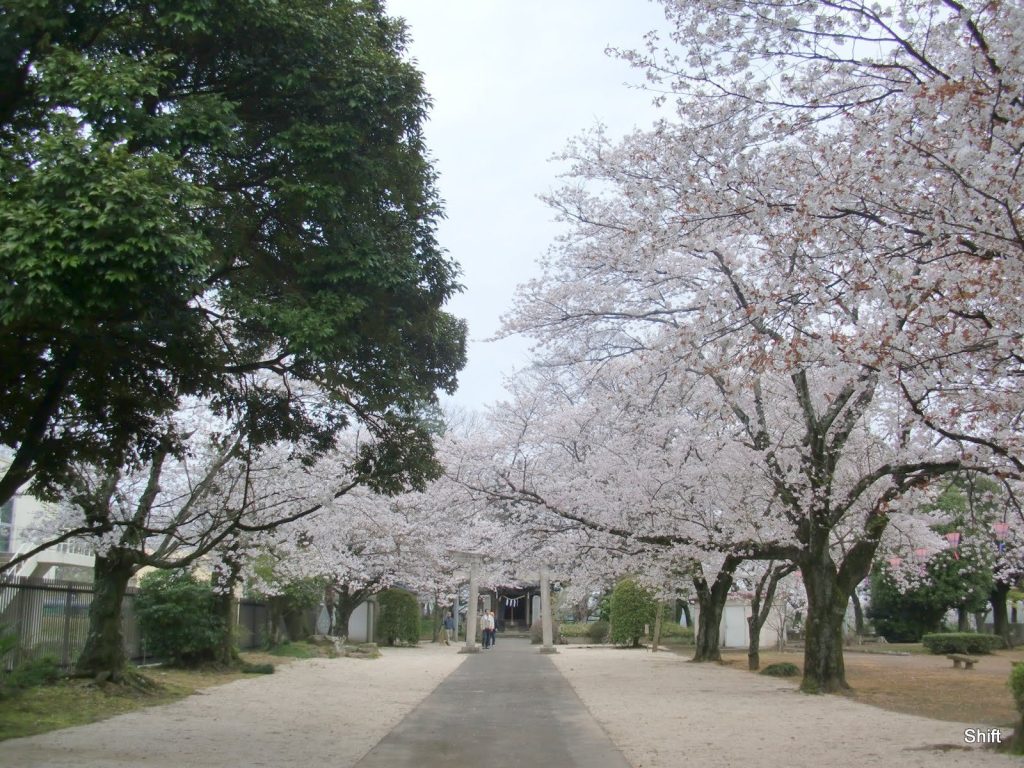 Yuki Castle: A Medieval Japanese Clan Stronghold 1 Yuki Castle