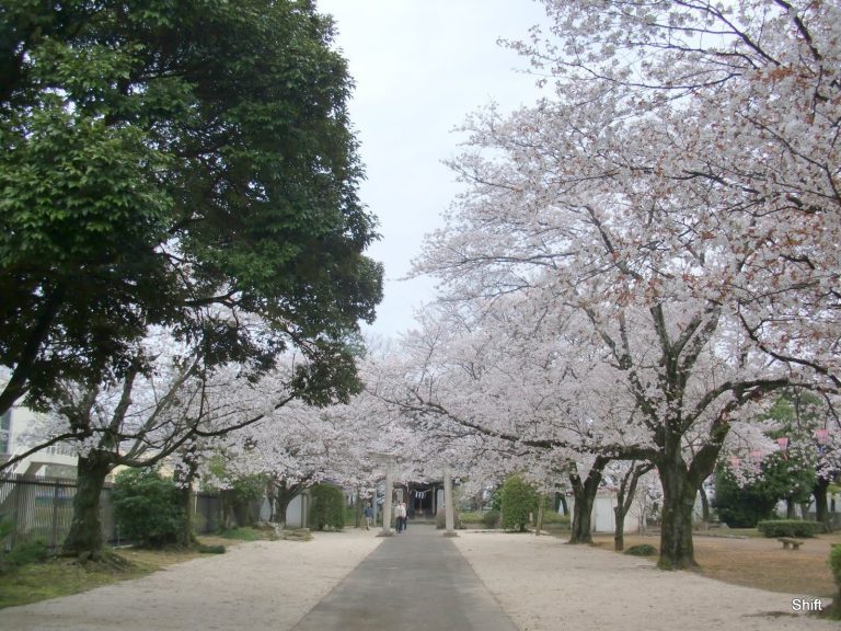 Yuki Castle: A Medieval Japanese Clan Stronghold