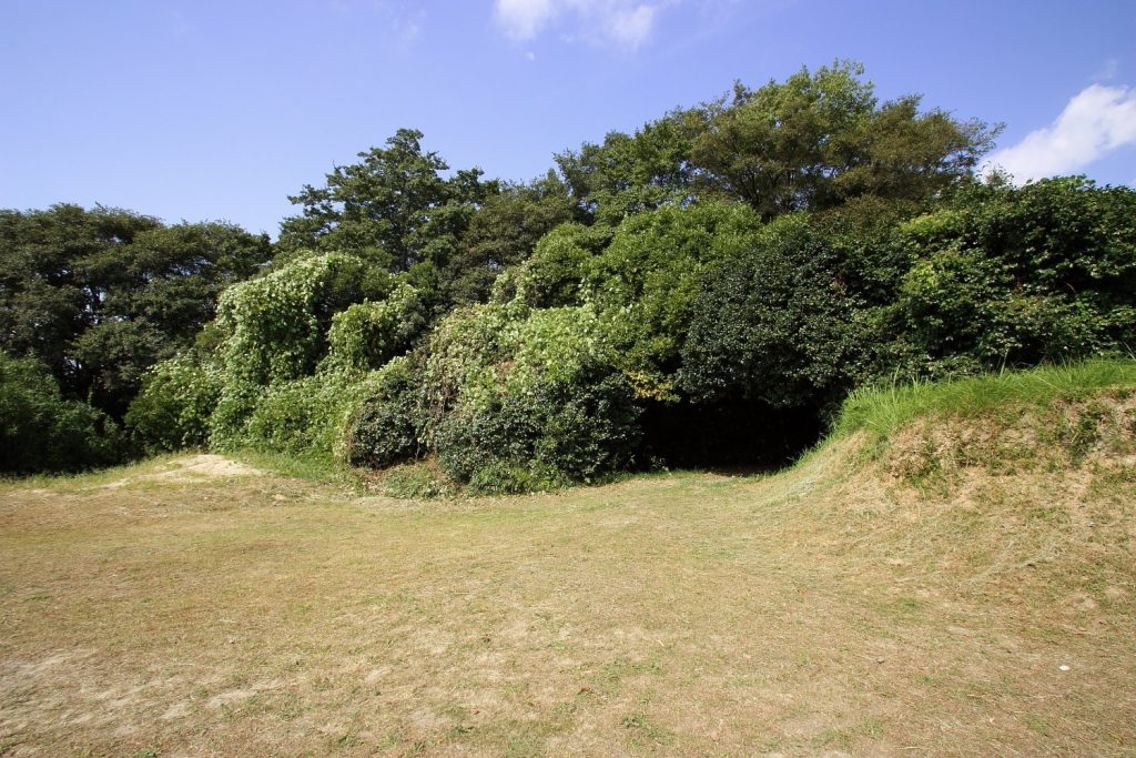 Ōtaka Castle: A Japanese Hilltop Castle in Nagoya 3 Ōtaka Castle