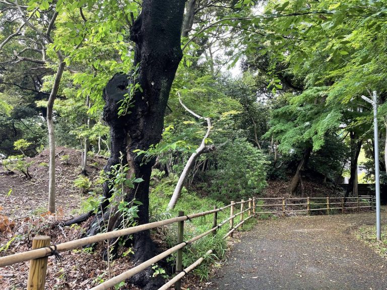 Guhōji kofun: A Late Kofun-Period Keyhole Burial Mound in Japan