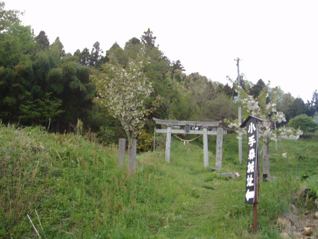 Odemori Castle: A Sengoku-Period Mountain Castle in Japan 1 Odemori Castle