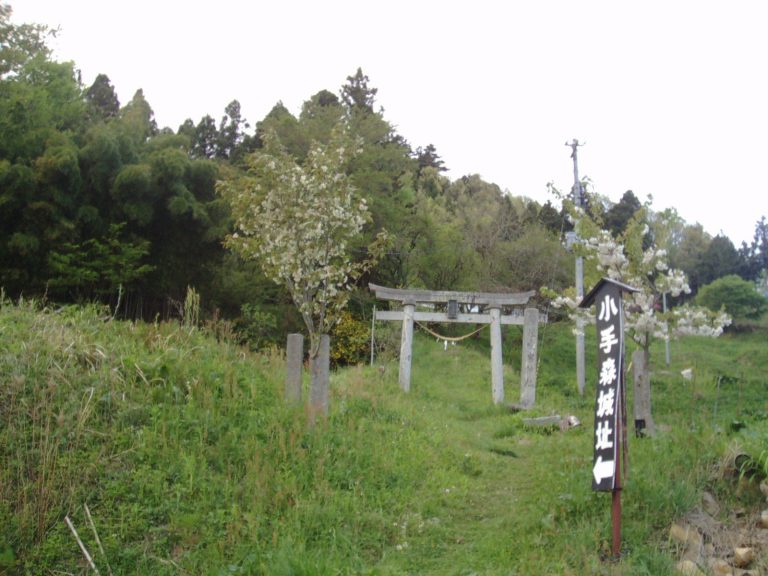Odemori Castle: A Sengoku-Period Mountain Castle in Japan