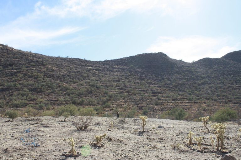 Trincheras Hill: An Archaeological Settlement in Sonora