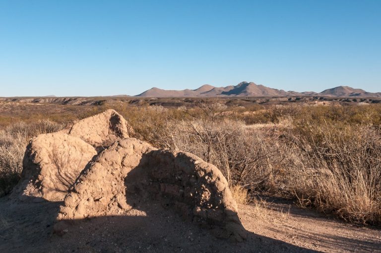 Presidio Santa Cruz de Terrenate: A Spanish Frontier Military Settlement in Arizona