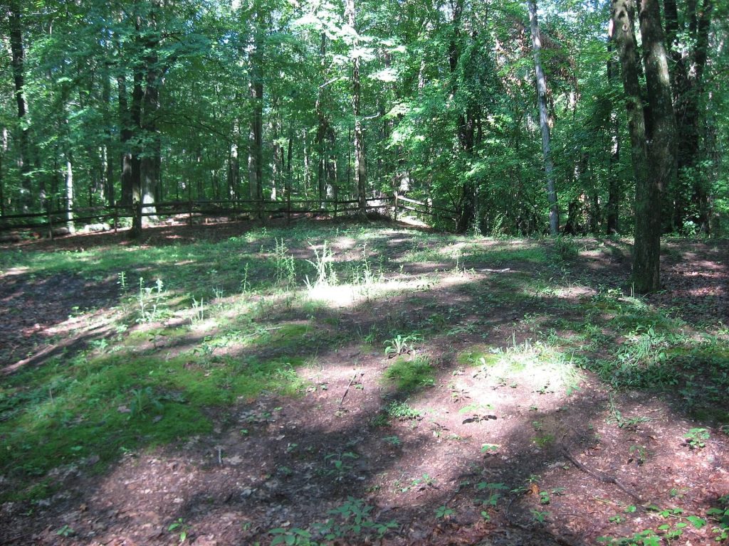 Cross Mound: An Enigmatic Earthwork in Ohio 1 Cross Mound