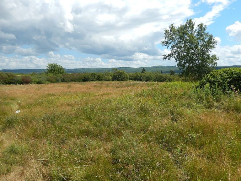 Melanson Settlement: An Acadian Family Community in Nova Scotia