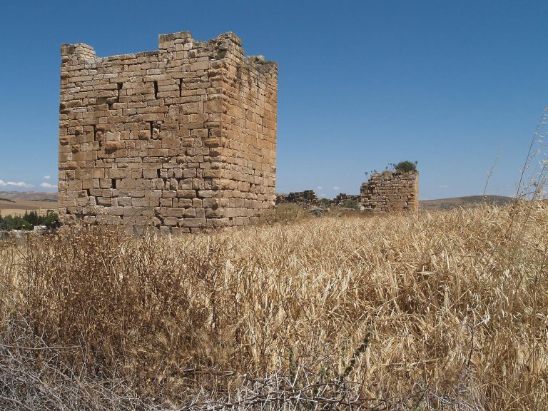 Aïn Tounga: The Roman City of Thignica and Its Byzantine Fortress