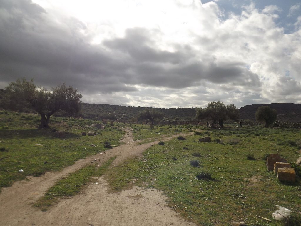 Aïn Tounga: The Roman City of Thignica and Its Byzantine Fortress 2 Ain Tounga