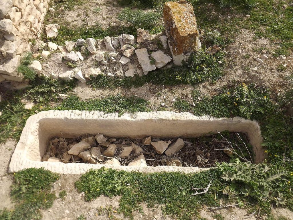 Aïn Tounga: The Roman City of Thignica and Its Byzantine Fortress 3 Ain Tounga