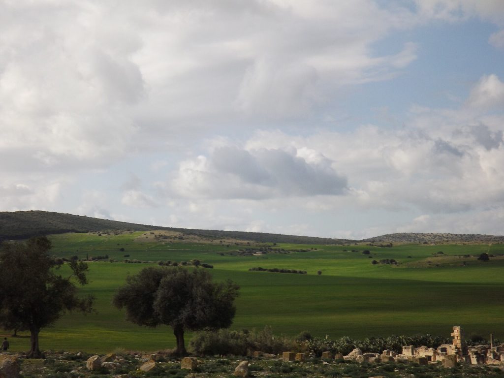Aïn Tounga: The Roman City of Thignica and Its Byzantine Fortress 4 Ain Tounga