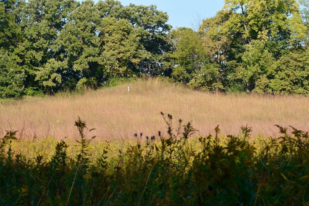 Albany Mounds State Historic Site: A Hopewell Archaeological Landscape in Illinois 1 Albany Mounds State Historic Site