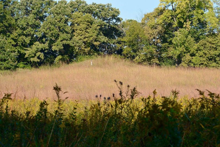 Albany Mounds State Historic Site: A Hopewell Archaeological Landscape in Illinois
