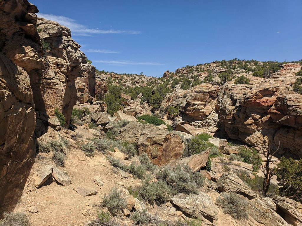 Petroglyph Canyon: A Prehistoric Rock-Art Site in Montana 3 Petroglyph Canyon